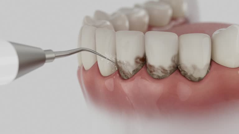 Reliable Dental contractor in Iron River, MI by Dentist Open Now